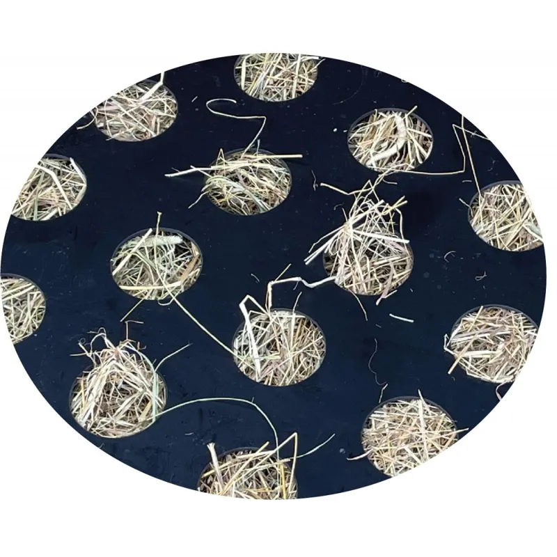 Stubbs Slo-Grazer - Red-1